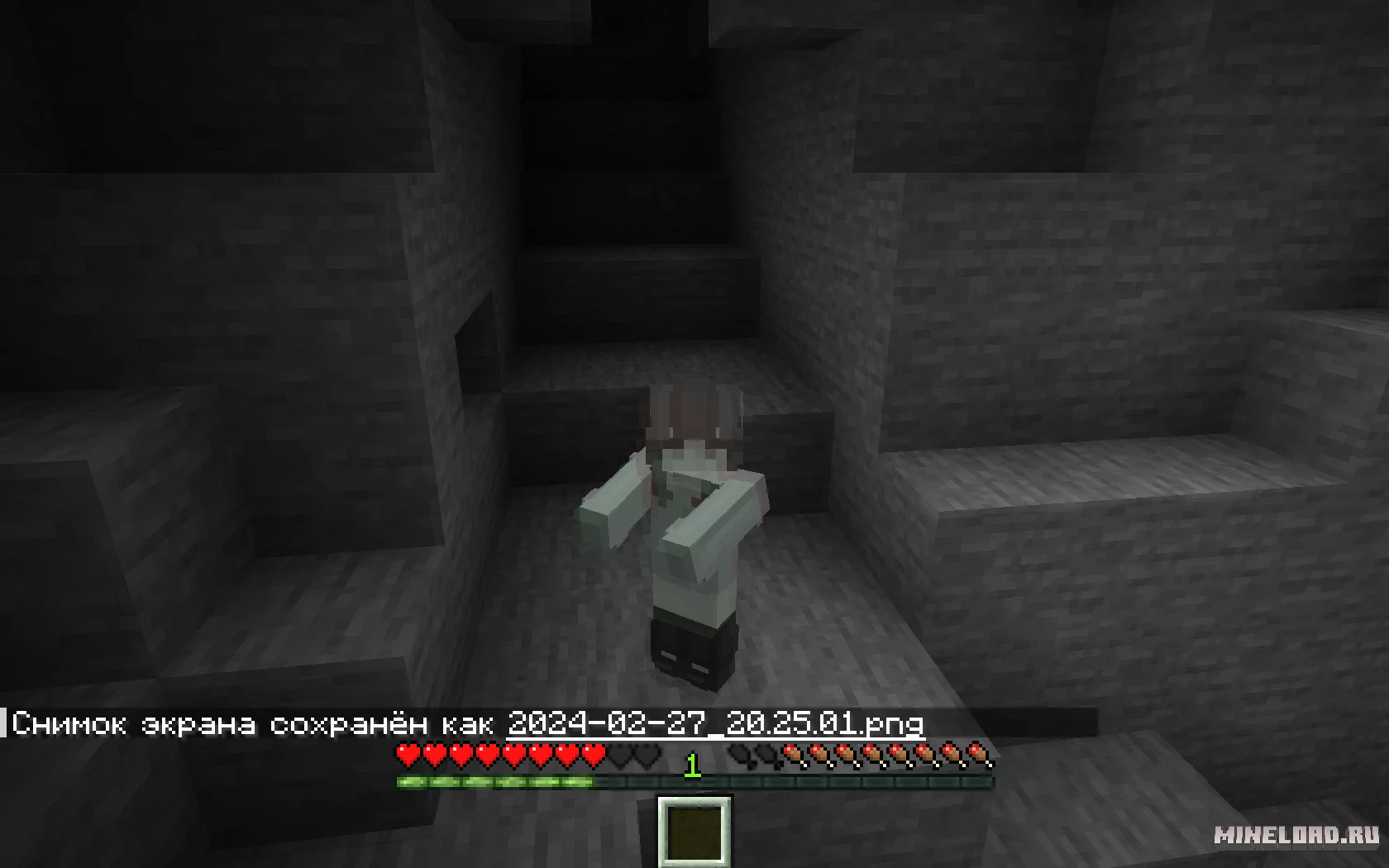 Zombificationem 1.20.4 (стать зомбированным) - 3