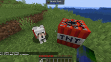 Immortal Pets 1.20.6, 1.20.1 (бессмертные питомцы)
