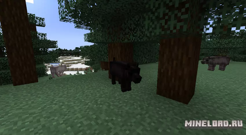 Livestock Overhaul 1.20.1, 1.18.2 - 3