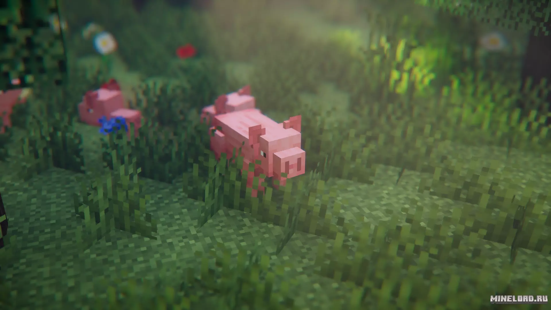 Entity Model Features 1.21.8, 1.20.1, 1.16.5 - 2