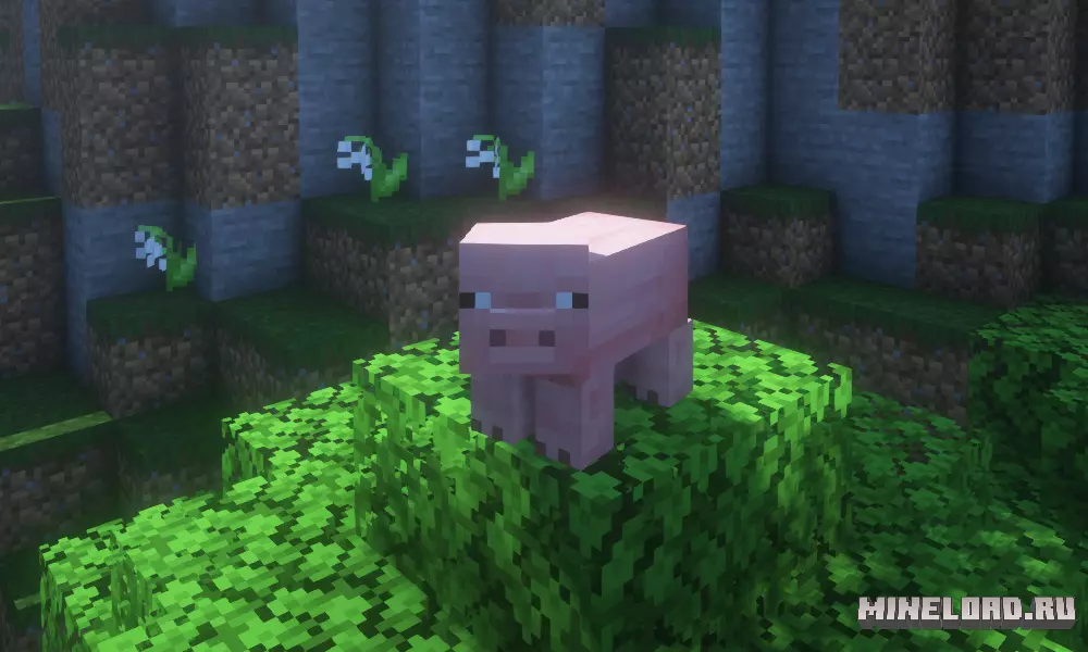 Gamingbarn's Morphs 1.21.8, 1.21.1 - 2