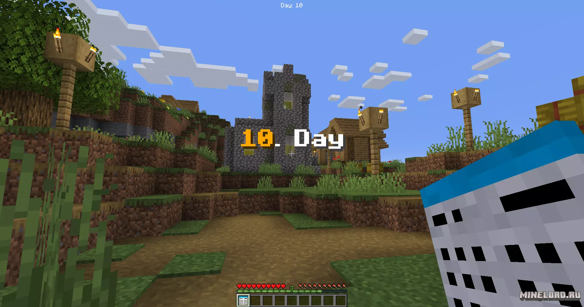Day Counter 1.21.1, 1.20.1, 1.16.5 - 1